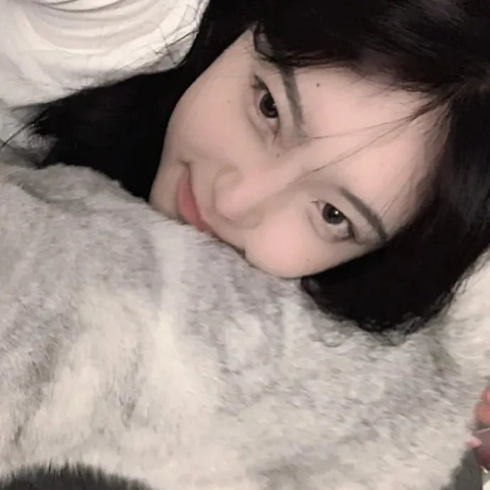 师父又掉线了